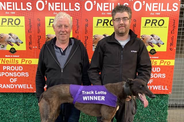 'Footfield Cookie' who won the first semi-final of the Billy & Sheila Quigley Memorial 525 with father and son team, Eamon and Martin Hagan.