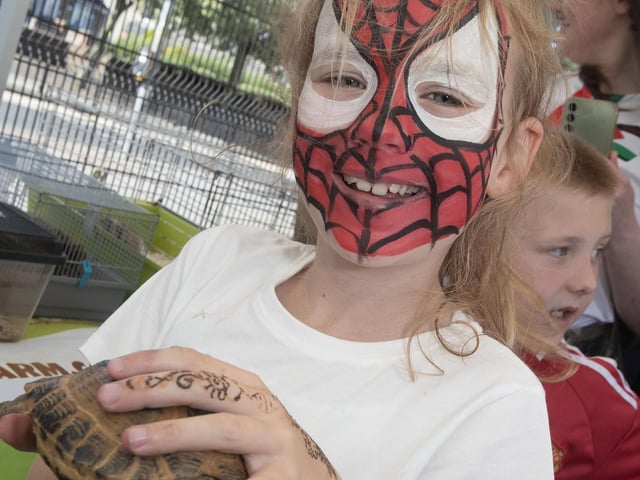 Fun at the Féile in the Park.