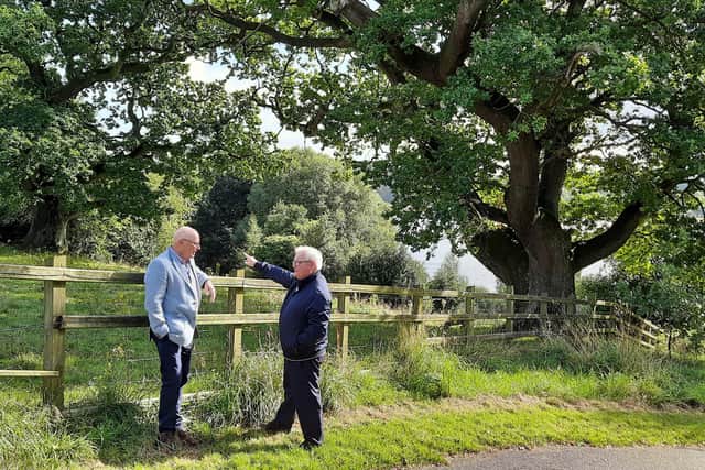 Dr. Brian Lacey and Bart O'Donnell in front of the Oak Trees at Boomhall