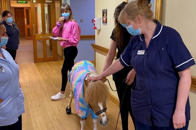 Star the pony visiting the ward.
