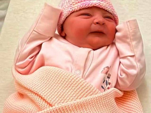 Baby Holly.