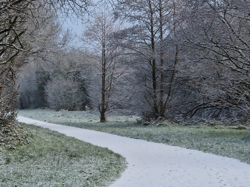 Derry in the snow.