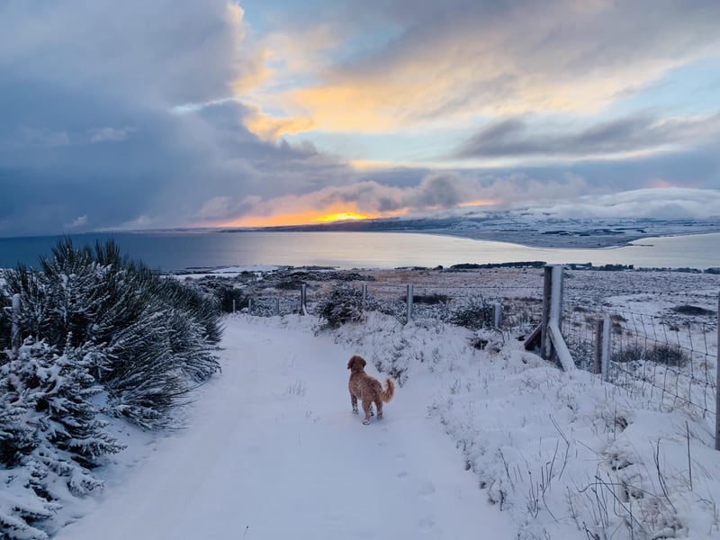 Derry Journal readers' snow pics