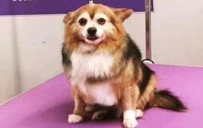 .
