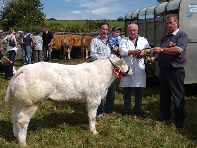 Gerry Gallagher, winner of the CH Scott Cup for overall calf, included are Ernie McLucas, steward and Enda Gallagher.