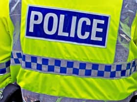 Police seize a dog who attacked a child in Birmingham 