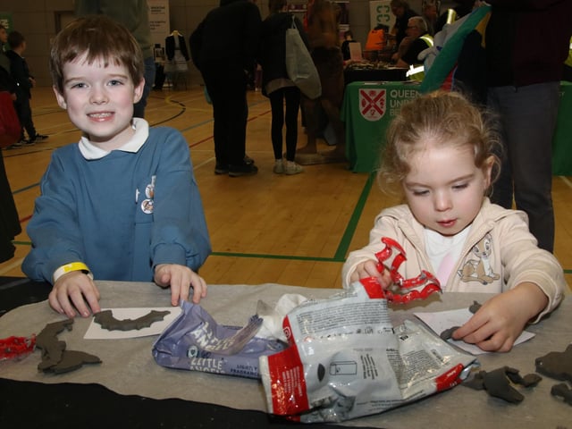 Roman and Isla-Mai making clay bats at The Foyle Science Showcase held in The Foyle Arena. (Photo - Deirdre Heaney, nwpresspics) : Foyle Arena Science Showcase.