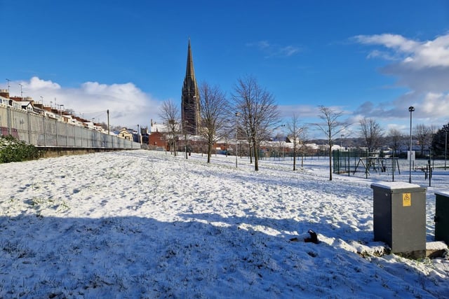 Bull Park in the snow.