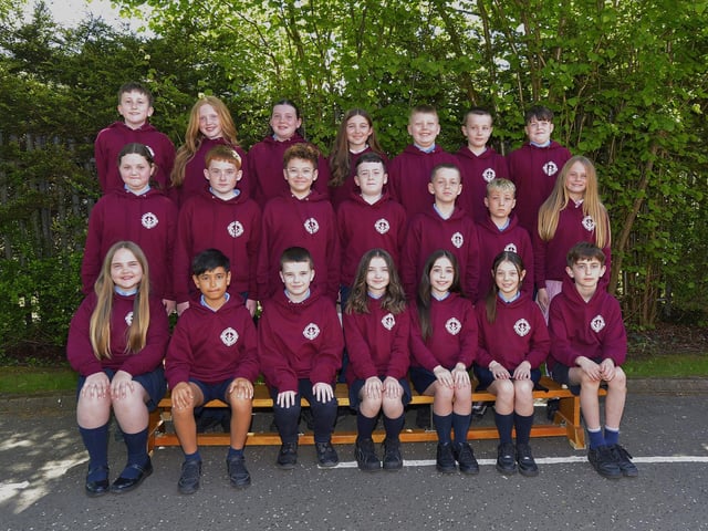 Mr Conaghan's 7 class at St Eithne's Primary School.