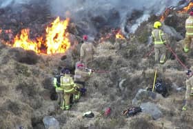 Firefighters tackling a gorse fire in the Mournes this week.