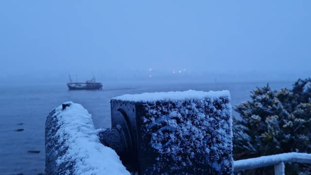Bay Road Park Local Nature Reserve receives a blanket of snow.