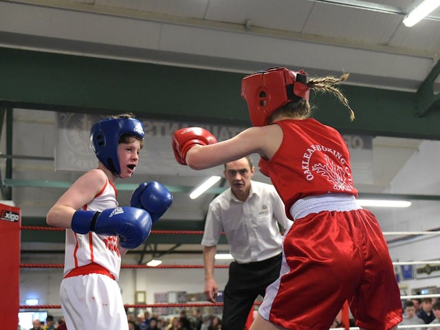 Sean Donaghy of Star of the Sea, left, boxing Oakleaf’s Anna O’Connor.  Photo: George Sweeney