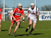 Derry’s Darragh McGilligan has been instrumental in Derry push for a spot in the Christy Ring Cup final. Photo: George Sweeney. DER2310GS – 06