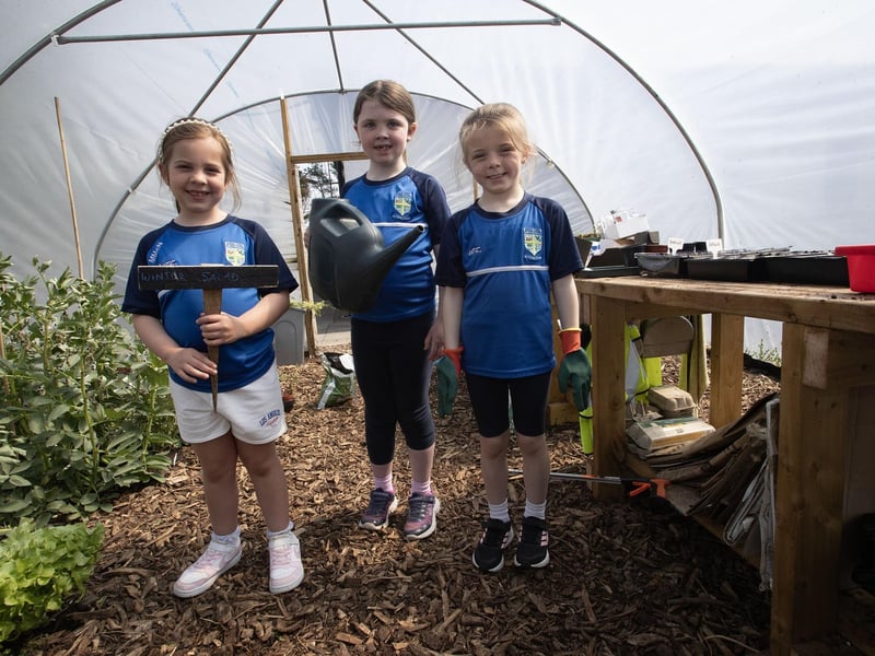 Hollybush PS pupils Maria McNicholl, Emer McColgan and Ava Temple getting ready to do some gardening on Tuesday morning.