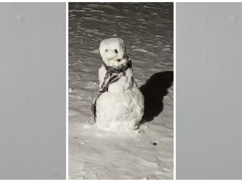 Cute little fellow. Photo: Jacqueline Knox.