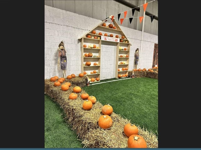 Pick your own pumpkin.