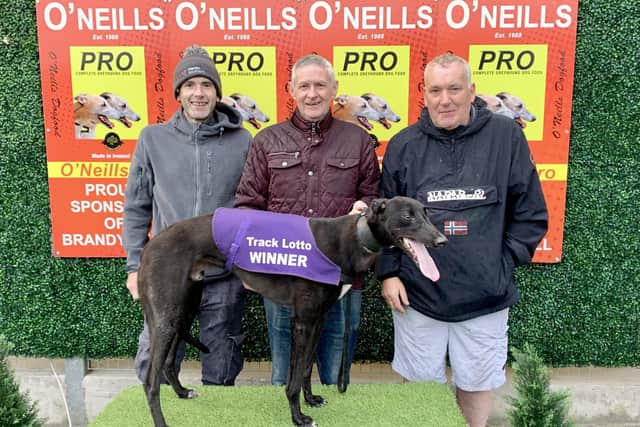 Dana's Star pictured with Tony Maxwell (centre) & brothers Mark (left) and Paul Ferry.