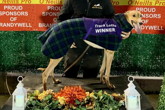 'Riada Jean' who won the seventh race in 16.76 with Tom Mullan.
