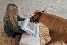 Tico, aka Shet Van Gogh, creating his painting with the help of equine therapist Eefa.