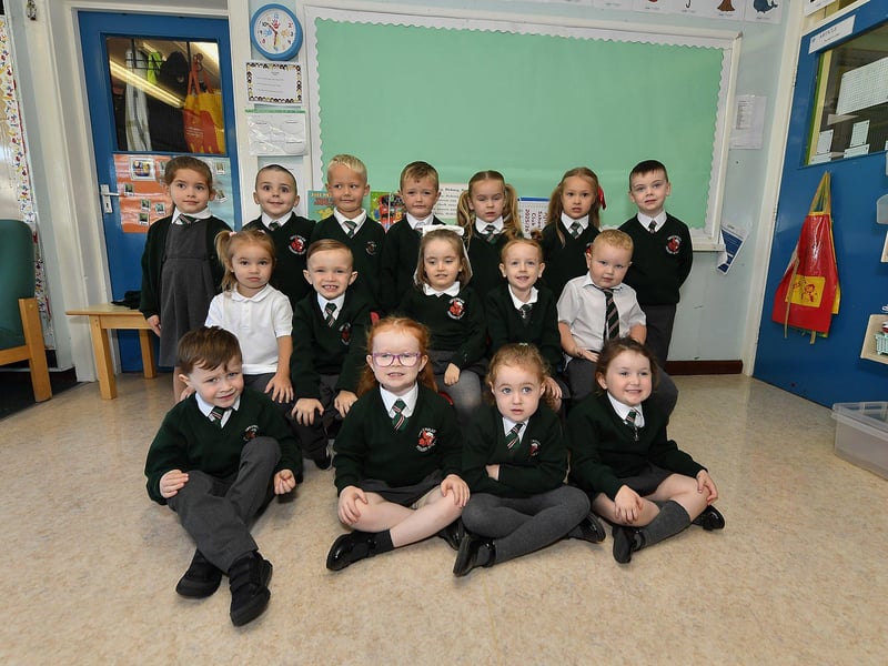 Miss McFadden’s P1 pupils at Greenhaw Primary School.