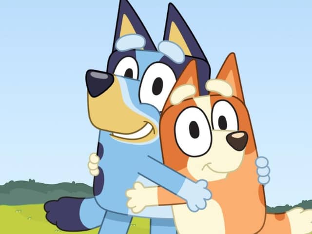Bluey and Bingo