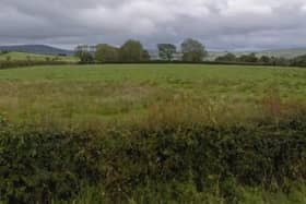 Traffic will access the site from the Mullenan Road via a new gated and walled entrance
