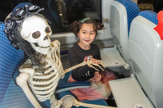 'Maud the Skeleton' on a Translink train