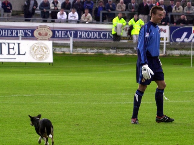 An amused Diego Arroyo as a canine pitch invader makes its way across the Brandywell turf.