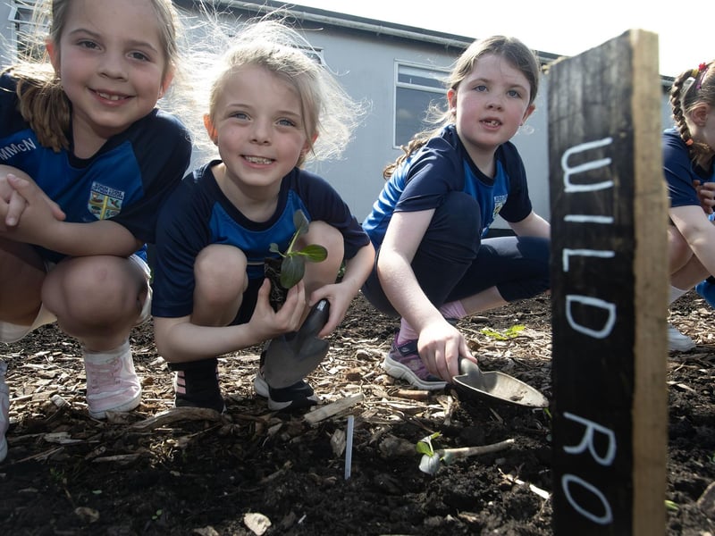 Hollybush pupils in the school gardens.