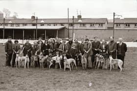 Derry's greyhound men at the Brandywell track back in April 1975.