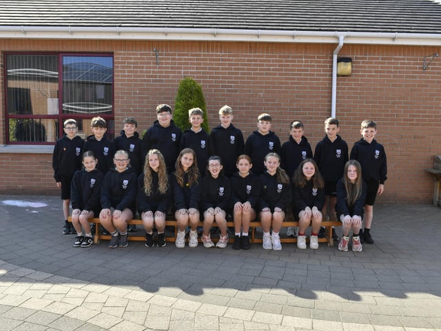 Mrs Hegarty’s P7 class at Drumahoe Primary School.