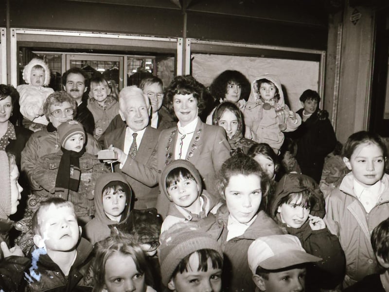 Austin's Christmas Lights Switch on 1993.