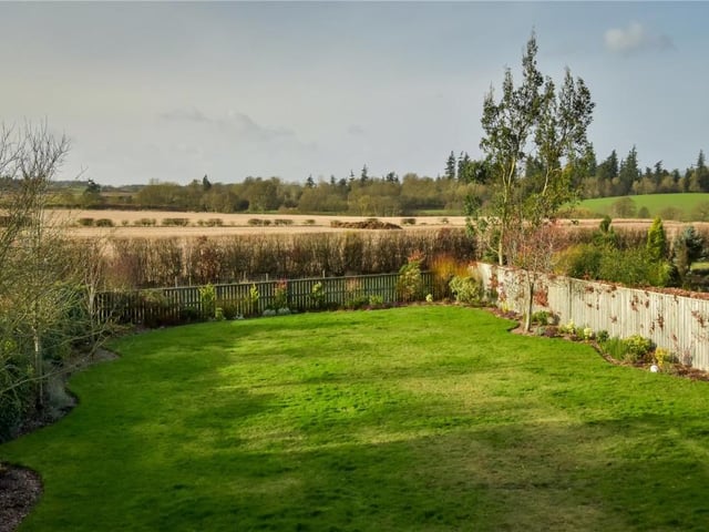 Rear garden.