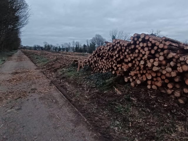 The area is unrecognisable after the harvesting work.