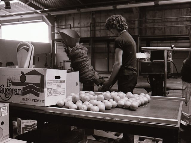 40 years ago: 1984 Quigg's Fruit Store at Springtown in Derry.