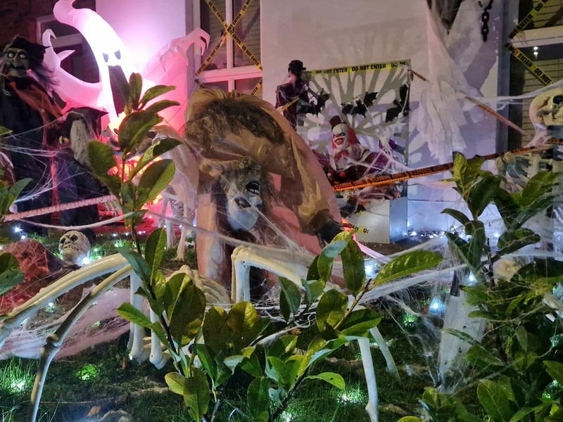 The brilliant Halloween decorations at Ivy Mead Hillocks are drawing crowds and encouraging donations to support the Northlands Addiction Centre.