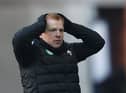 Neil Lennon. (Photo by Ian MacNicol/Getty Images)