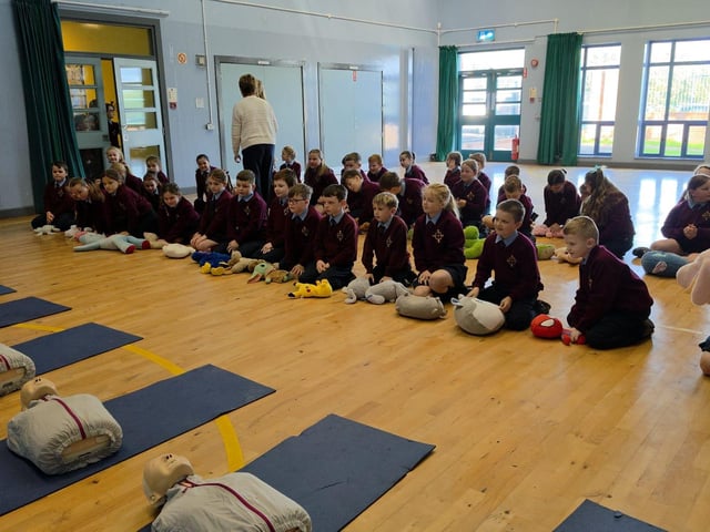 Children at St Eithne's PS practising on stuffed toys before learning about compressions on mannequins.