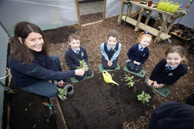 NWP's Sharon working with pupils Liam, Cara, Alanah and Ora in the school's new polytunnel.