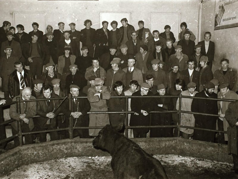 Farmers gathered at the Carndonagh Mart in Inishowen.