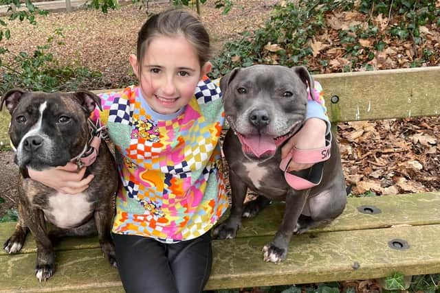 Grace said she and her family started fostering because we know too well how many dogs are needing help, and the amount who are left into pounds who are at risk of being put to sleep. Photo: Pet Adoption Website