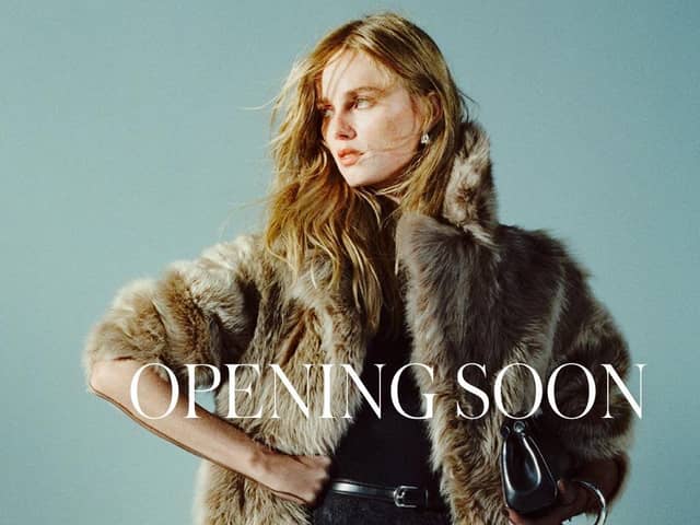 Coming to Derry: MANGO is opening soon.
