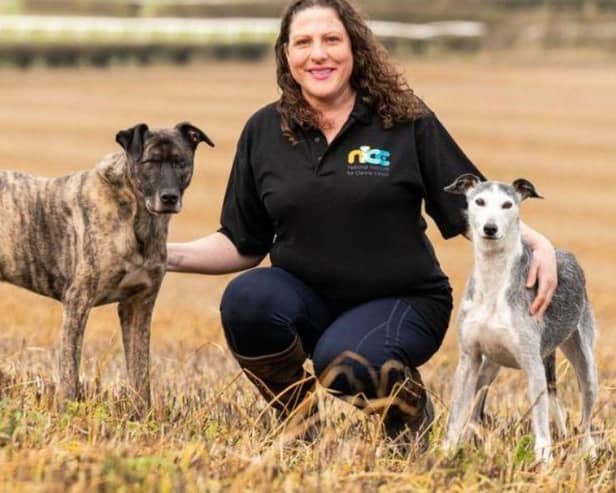 Jo Middleton, owner of Canine Principles - Animal News Agency