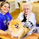 A Pets As Therapy volunteer bringing their dog to their local care home to spend time with residents