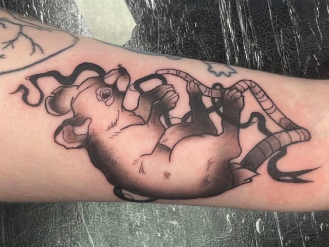 Age 22 I’m from Limavady. "I picked this piece because It was my first piece from my flash that I ever got to tattoo. It made me realise how cool this job actually is, It’s honestly surreal to me that someone would want something I designed on their body.I’ve been an apprentice for 9 months but I’ve only been tattooing since January. It had always been in my head, but I was always too scared to take the leap. I loved drawing, creating. I even started an animation degree at Ulster but dropped out within the year. It made me realise that tattooing was what I really wanted to do with my life."