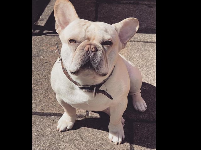 Having fun in the sun