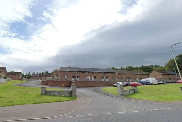 Racist graffiti is believed to have been spray-painted onto the exterior walls of three properties, one property in the Fort Drive area and two properties in the Forest Drive area, between 3am and 4am.