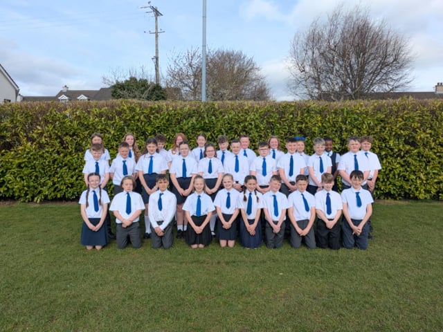 Termoncanice Primary 7 2