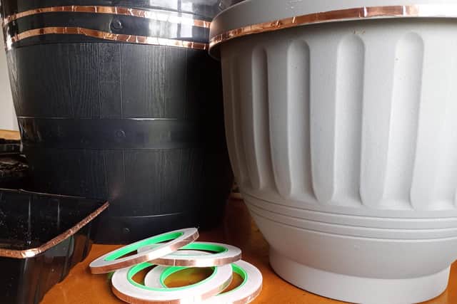 Copper foiling plant pots to help protect young plants from snails and slugs.