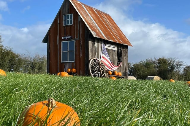 Maxwell’s American-themed Pumpkin Patch is located in Castlederg, over a half an hour outside of Derry but it is definitely worth the visit. Maxwell’s has a full menu of sweet drinks and treats, a maize maze and some spooky (but friendly) friends who visit the patch. You can pick your own pumpkin, too, and get the perfect pic for Instagram. Booking is essential so visit maxwellspumpkinpatch.digitickets.co.uk to book.